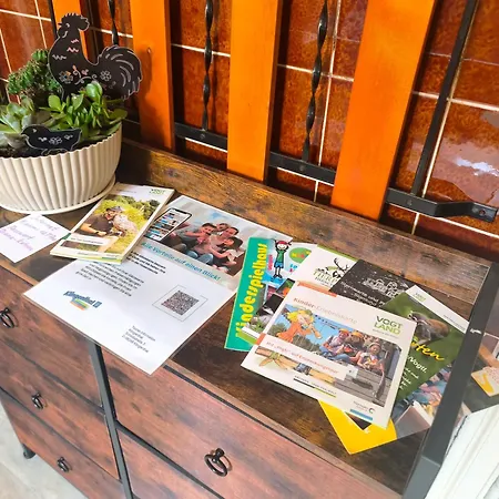 Diana Guest house Klingenthal