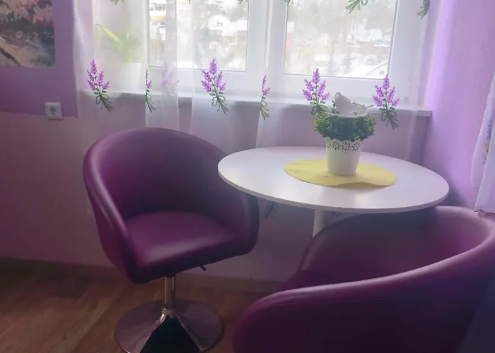 Guest house Diana Klingenthal